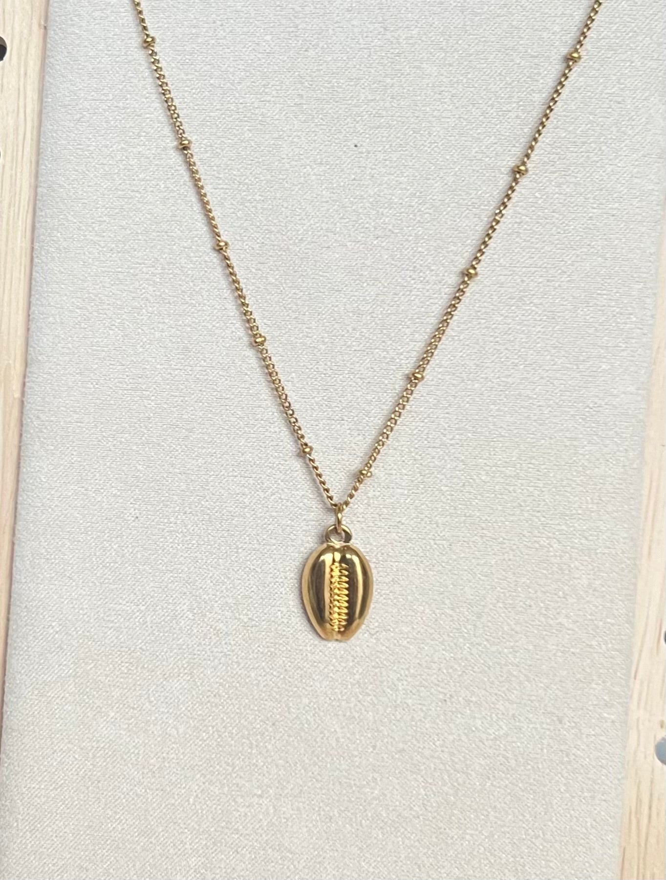 sea shell