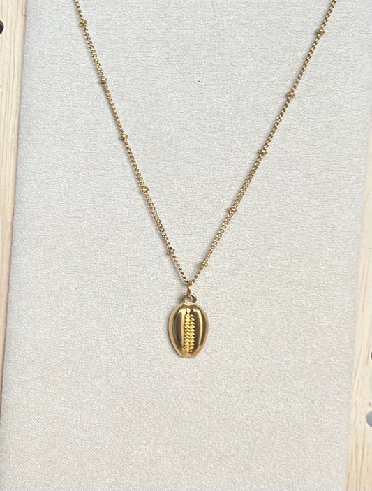 sea shell