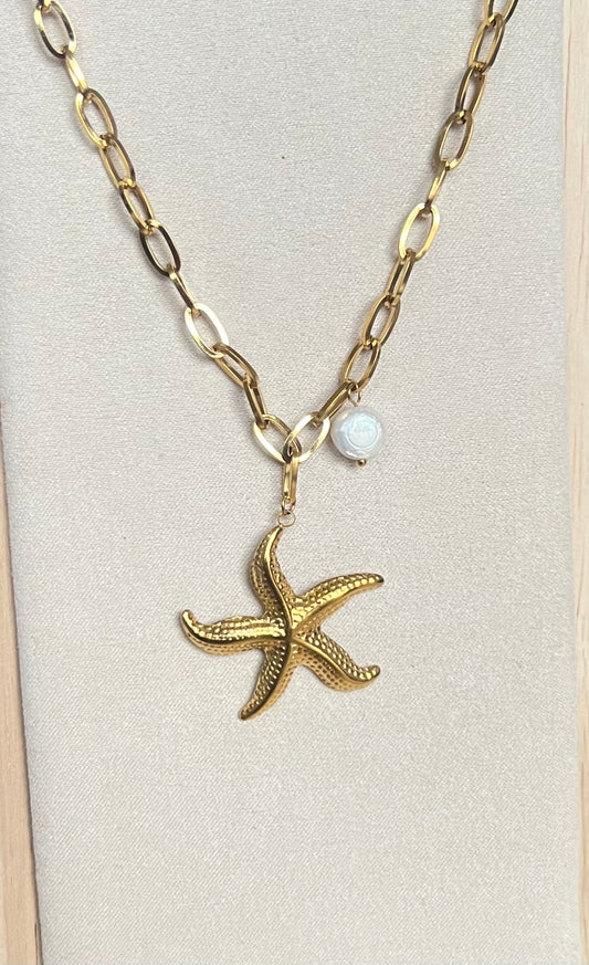 Collar mar