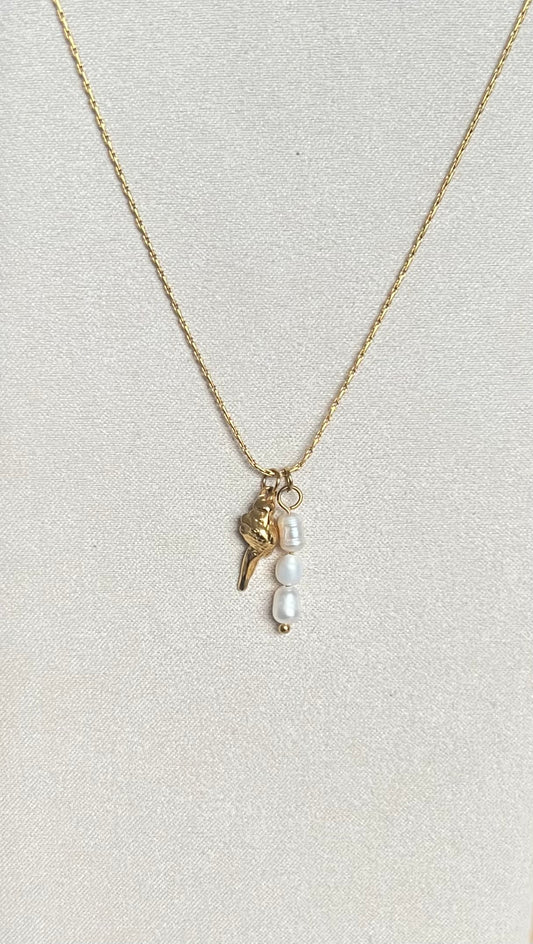 Collar playa